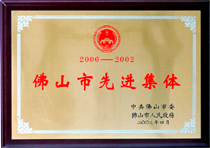 佛山市先进集体